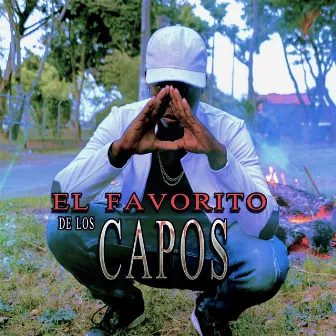 El Favorito de los Capos by J Flow El Favorito