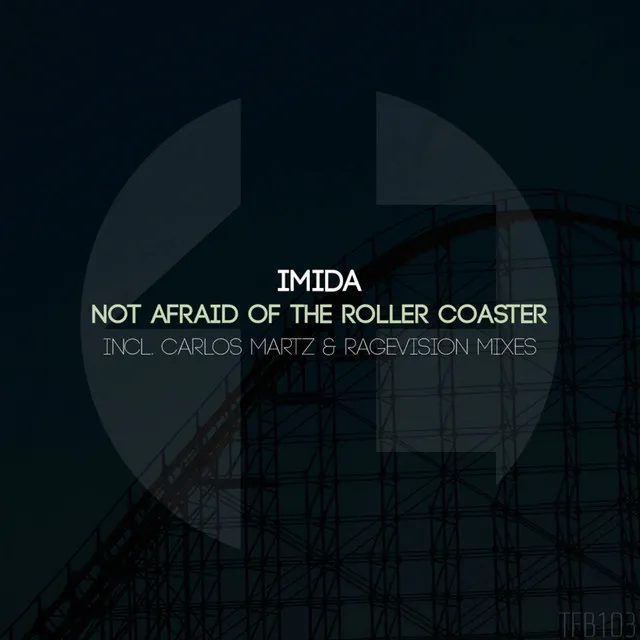 Not Afraid of The Roller Coaster - RageVision Remix