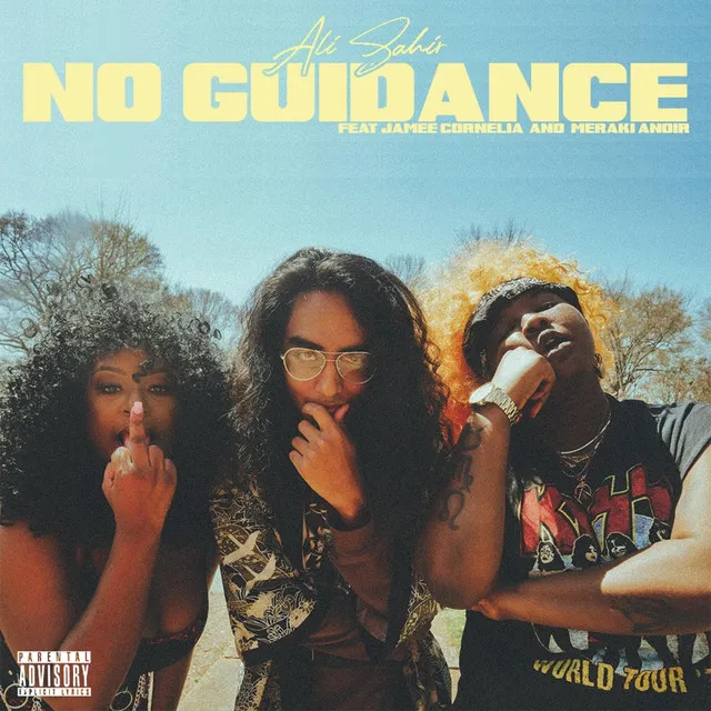 No Guidance