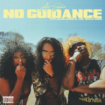 No Guidance by Ali Sahir