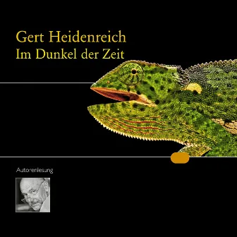 Im Dunkel der Zeit by Gert Heidenreich