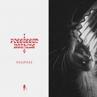 Possessed Realms by Pasiphae