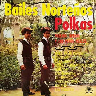 Bailes Norteños Polkas (Instrumental) by Paulino Bernal