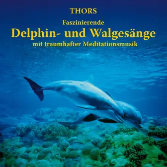 Delphin- und Walgesänge mit traumhafter Meditationsmusik by Thors