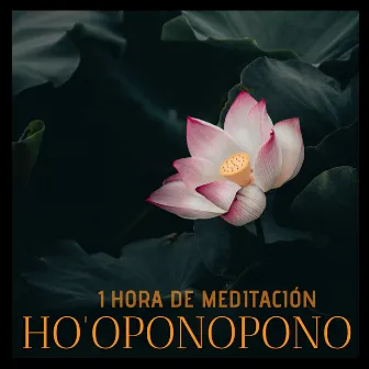 1 Hora de Meditación Ho'oponopono - Música de Meditación Salud, Relajar y Dormir Profundamente by Así Soñando