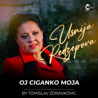 Oj Ciganko moja (Live) by Usnija Redzepova