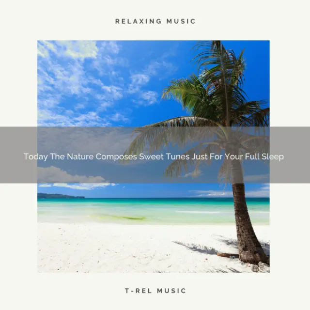 Today The Nature Composes Sweet Tunes Just For Your Full Sleep