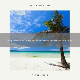 Today The Nature Composes Sweet Tunes Just For Your Full Sleep by Astral Noise