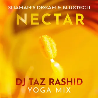 Nectar (DJ Taz Rashid Yoga Mix) by Shaman's Dream