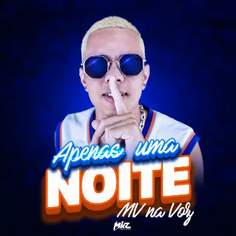 Apenas uma Noite by MV na Voz