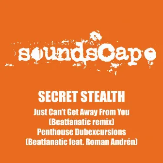 Beatfanatic Remix by Secret Stealth