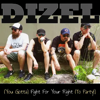 (You Gotta) Fight for Your Right (To Party!) by Dizel