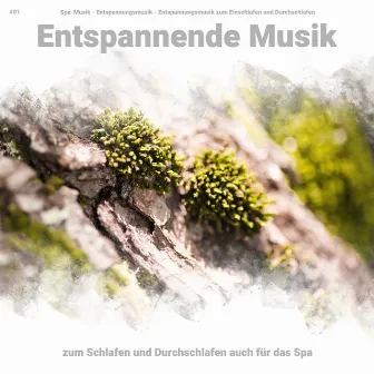 #01 Entspannende Musik zum Schlafen und Durchschlafen auch für das Spa by Entspannungsmusik zum Einschlafen und Durchschlafen