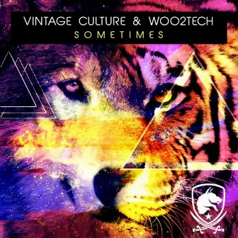 Sometimes (Radio Edit) by Woo2Tech