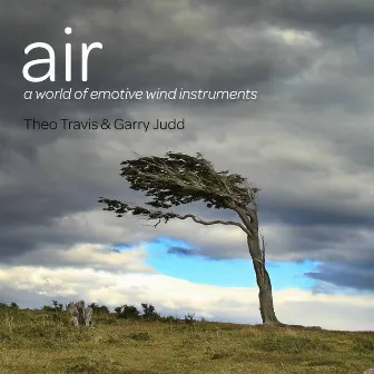 Air by Theo Travis