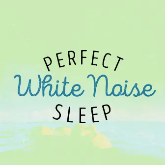 Perfect White Noise Sleep by Unknown Artist