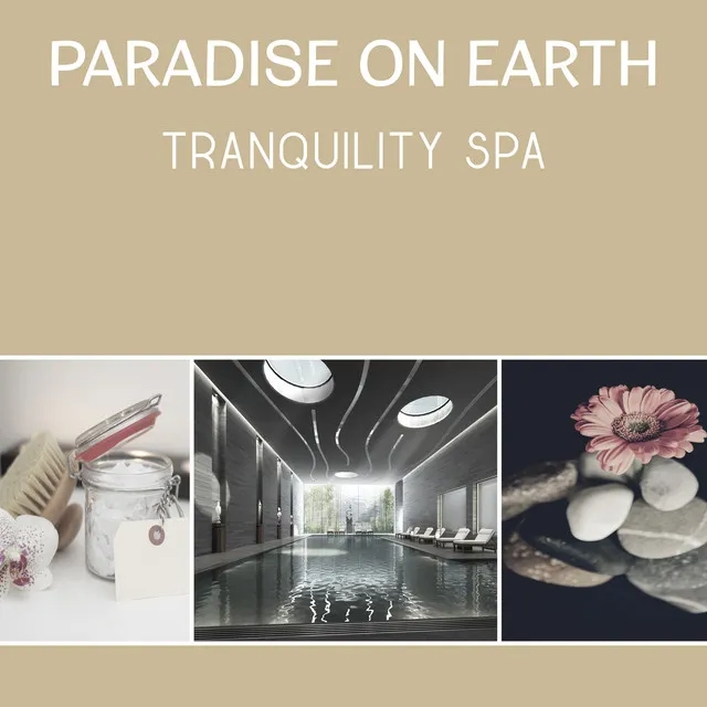 Paradise on Earth - Tranquility Spa, Health and Beauty Treatments, Relaxation Sounds to Clean Your Body and Mind from Bad Energy, Total Rest and Regeneration