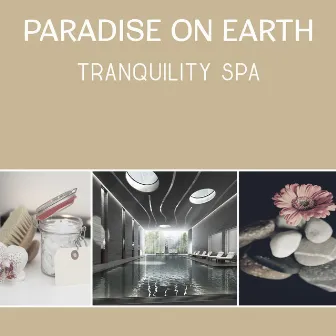 Paradise on Earth - Tranquility Spa, Health and Beauty Treatments, Relaxation Sounds to Clean Your Body and Mind from Bad Energy, Total Rest and Regeneration by Spa Center Academy