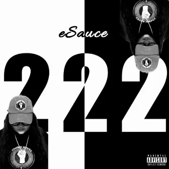 222 by eSauce