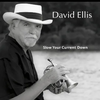 Slow Your Current Down by David Ellis