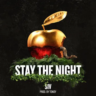 Stay the Night by SIV