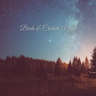 Birds & Crickets Night by Chirping & Singing