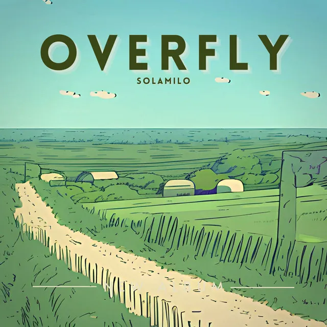 OVERFLY