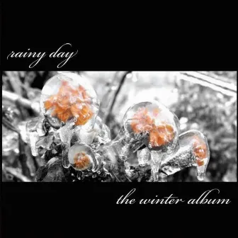 The Winter Album by Rainy Day