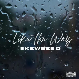 Like The Way by Skewbee D