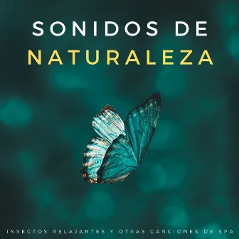 Sonidos De Naturaleza: Insectos Relajantes Y Otras Canciones De Spa by Sonidos de la naturaleza en todo el mundo