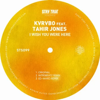 I Wish You Were Here (feat. Tahir Jones) by KVRVBO