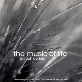 The Music of Life by Joseph Curiale