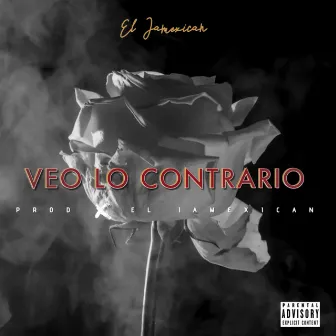 Veo Lo Contrario by El Jamexican