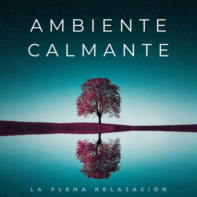 Ambiente Calmante: La Plena Relajación