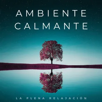 Ambiente Calmante: La Plena Relajación by Zona de Música Sexual