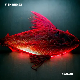 Fish Red 22 (2022 Remix) by Avalon