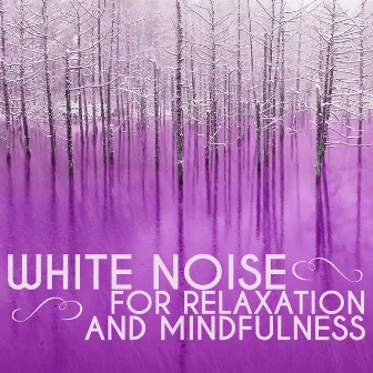 White Noise for Relaxation and Mindfulness by Unknown Artist