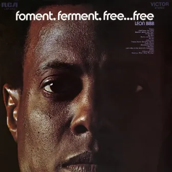 Foment, Ferment, Free... Free by Leon Bibb