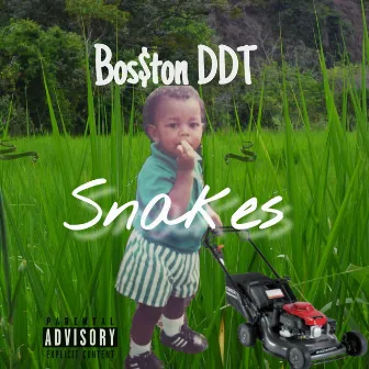 Snakes by Bos$ton DDT