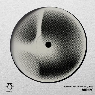 Why by Bass King