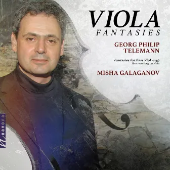 Viola Fantasies by Misha Galaganov