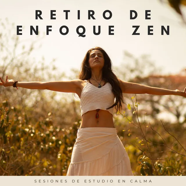 Retiro De Enfoque Zen: Sesiones De Estudio En Calma