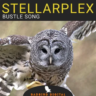 Bustle Song by Stellarplex