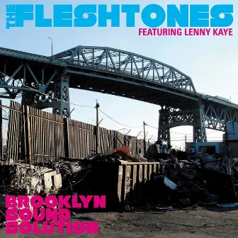 Brooklyn Sound Solution (feat. Lenny Kaye) by The Fleshtones