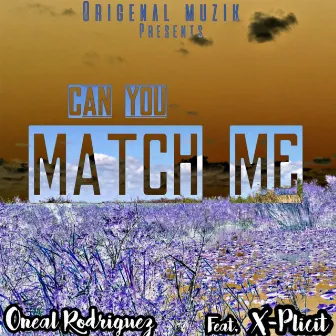 Can You Match Me by Oneal Rodriguez