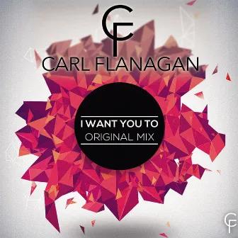 I Want You To by Carl Flanagan