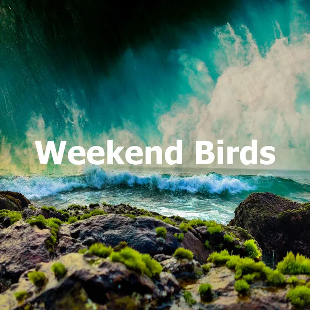 Weekend Birds