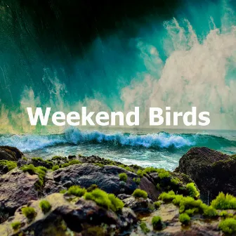 Weekend Birds by Massage Spa Academy