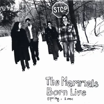 Born Live by The Mammals