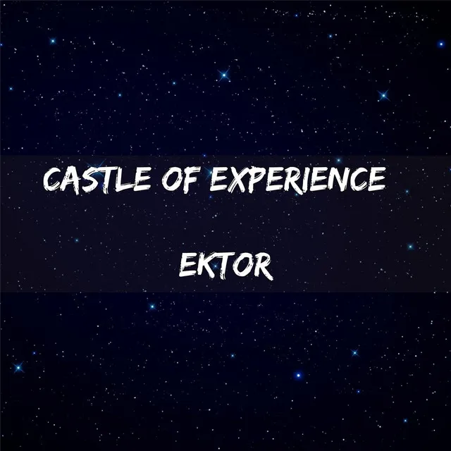 Castle of Experience